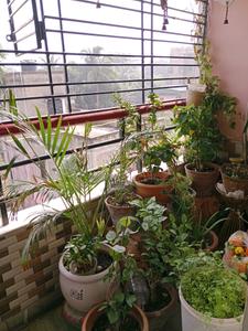Bedroom One Image of 1205 Sq.ft 3 BHK Apartment / Flat for sale in Bramhapur Kolkata for Rs. 5000000