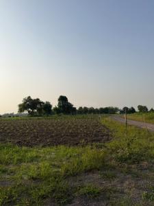 Image of 8000 Sq.ft Residential Plot / Land for sale in Kathadih, Raipur for Rs. 4600000