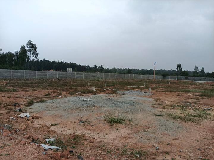 Sreevari Forest Glade Main Image 1