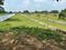 Bihta Plot View 2