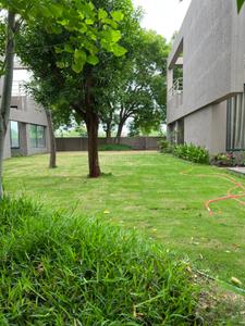 Image of 3510 Sq.ft 4 BHK Villa for rent in Satellite, Ahmedabad for Rs. 100000