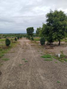 Image of 1000 Sq.ft Residential Plot / Land for sale in Talegaon Dhamdhere, Pune for Rs. 225000