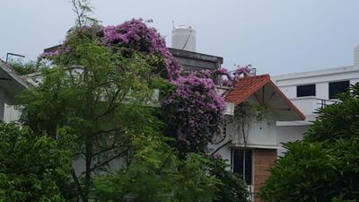 Image of 2100 Sq.ft 3 BHK Villa for sale in Kamala Amulya Homes, Kushaiguda, Secunderabad for Rs. 18500000