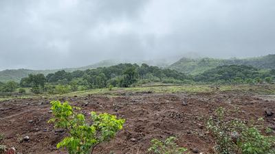 Image of 12422 Sq.ft Residential Plot / Land for sale in Samundi, Nashik for Rs. 4564000