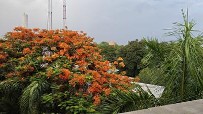 Terrace Image of 2500 Sq.ft 4 BHK Penthouse for sale in Manjalpur Vadodara for Rs. 9000000