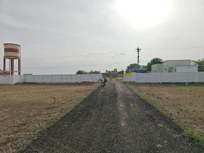 Residential Plot