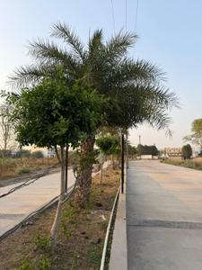Image of 1500 Sq.ft Residential Plot / Land for sale in Sendri, Bilaspur for Rs. 2000000