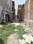 Sector 101 Plot View 2