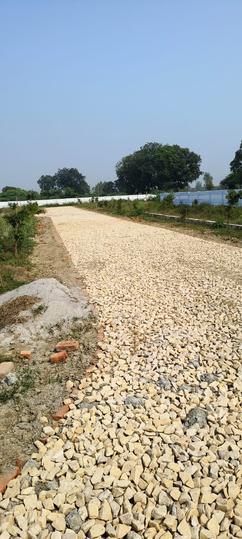 Kalli Poorab Main Image 1