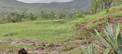 Image of 1000 Sq.ft 1 RK Farm House for sale in Khed Shivapur, Pune for Rs. 700000