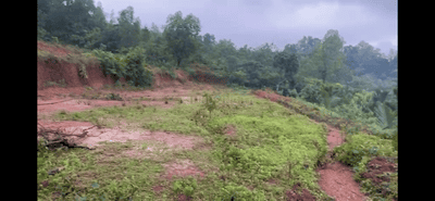 Sirsi Plot View 3