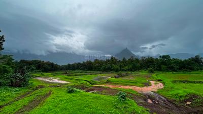 Image of 87120 Sq.ft Residential Plot / Land for sale in Murbad, Thane for Rs. 12000000