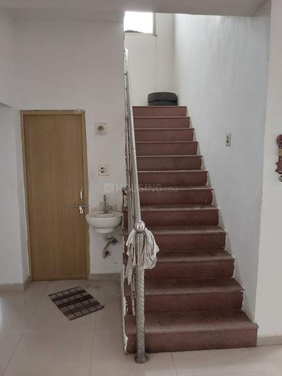 Randehja More Images 1