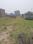 Badiya Main Image 1