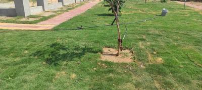 Image of 205 Sq.ft Residential Plot / Land for sale in Peddapur, Sangareddy for Rs. 2460000