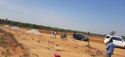Ootla Plot View 1