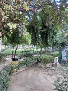 Image of 1710 Sq.ft 3 BHK Independent House for sale in Preet Vihar, New Delhi for Rs. 35000000