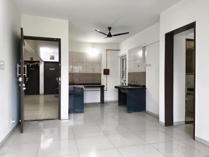 forest trail Main Image 1