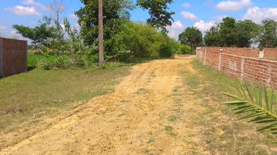 Image of 5062 Sq.ft Residential Plot / Land for sale in Katoria, Deoghar for Rs. 1400000