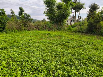 Bhopal pani thano road Plot View 2