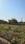 Hinjawadi Phase 2 Main Image 1