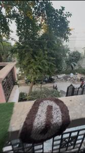 Balcony Image of 4400 Sq.ft 4 BHK Independent House for sale in Sector 23 Gurgaon for Rs. 73000000