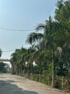 Image of 850 Sq.ft Residential Plot / Land for sale in Sukha, Jabalpur for Rs. 1360000