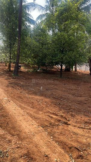 Kolazhy Main Image 1