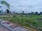 Radhika Shanti Palm 1 Plot View 2