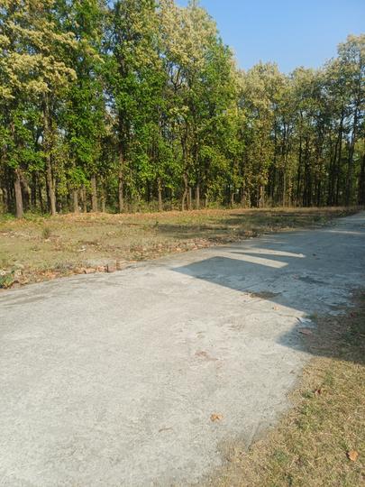 Ocean Shivpuri Greens Main Image 1