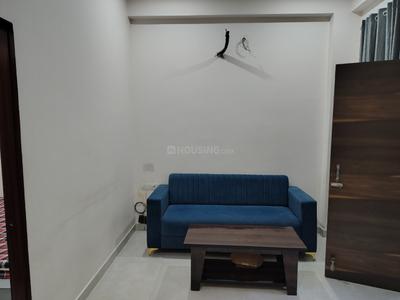 Hall Image of 550 Sq.ft 1 BHK Apartment / Flat for rent in Malviya Nagar Jaipur for Rs. 18000