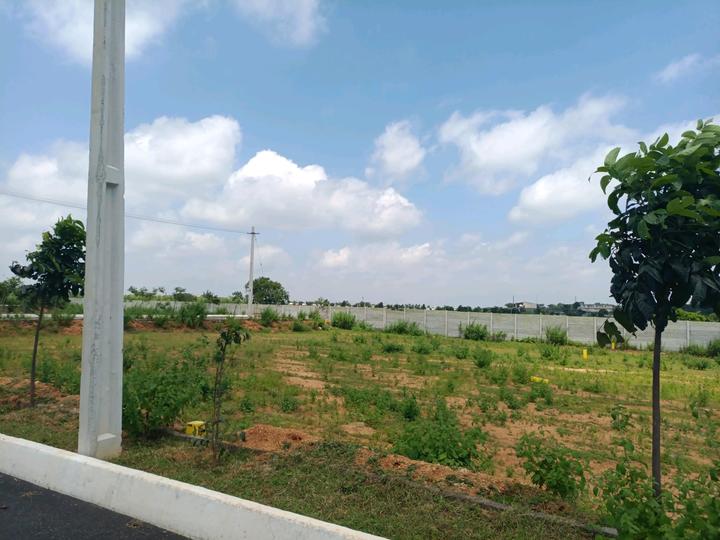 MS Developers Main Image 1