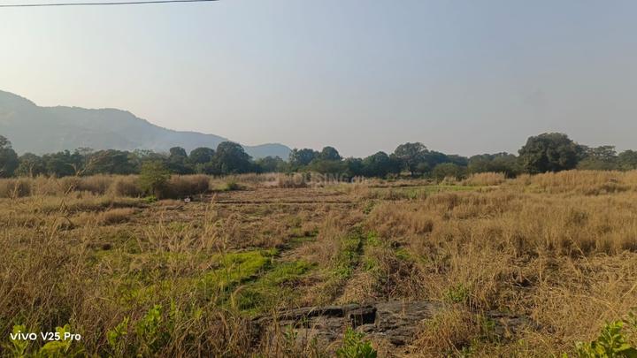 Palaspe Phata Main Image 1