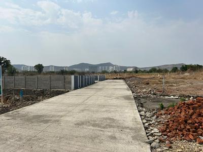 Phase 2 Plot View 1