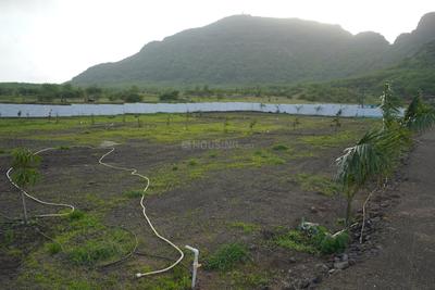 Image of 11290 Sq.ft Residential Plot / Land for sale in Ramshej, Nashik for Rs. 4600000