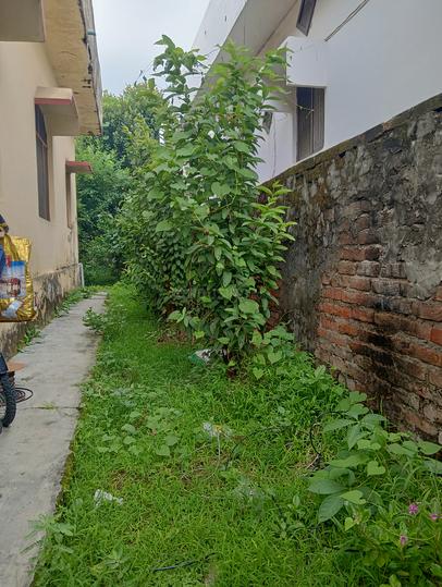 Haldwani Main Image 1