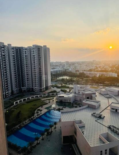 Prestige Song of the South Main Image 1