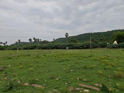 Image of 800 Sq.ft Residential Plot / Land for sale in Chengalpattu, Chennai for Rs. 1199236