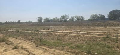Mohan Nagar Colony Plot View 2