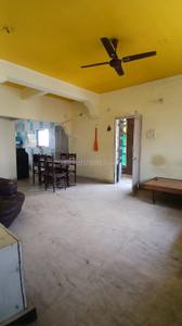 Hall Image of 775 Sq.ft 2 BHK Apartment / Flat for rent in Karelibagh Vadodara for Rs. 16000
