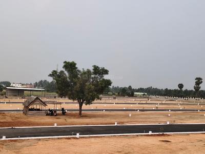 Annur Plot View 2