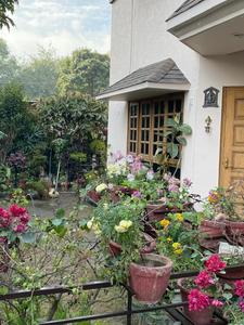 Image of 3040 Sq.ft 5 BHK Independent House for sale in Dalanwala, Dehradun for Rs. 48500000