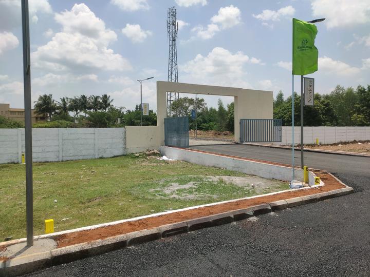 TAASSA MEDORA Main Image 1