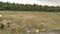 Annur Plot View 2
