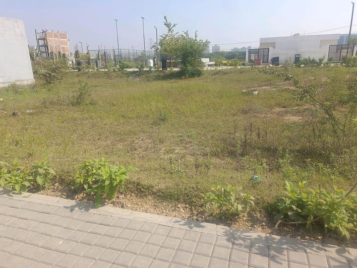 Adani Oyster Greens Phase 2 Main Image 1