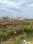 SARASWATHI NAGAR Plot View 2