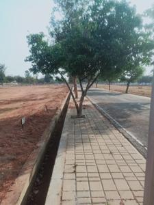 Residential Plot