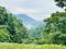 Sahastradhara road Plot View 2