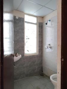Common Bathroom Image of 1100 Sq.ft 2.5 BHK Apartment / Flat for rent in Amrapali Dream Valley 2, Noida Extension Greater Noida for Rs. 20000