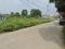 Surajpur UPSIDC Plot View 2